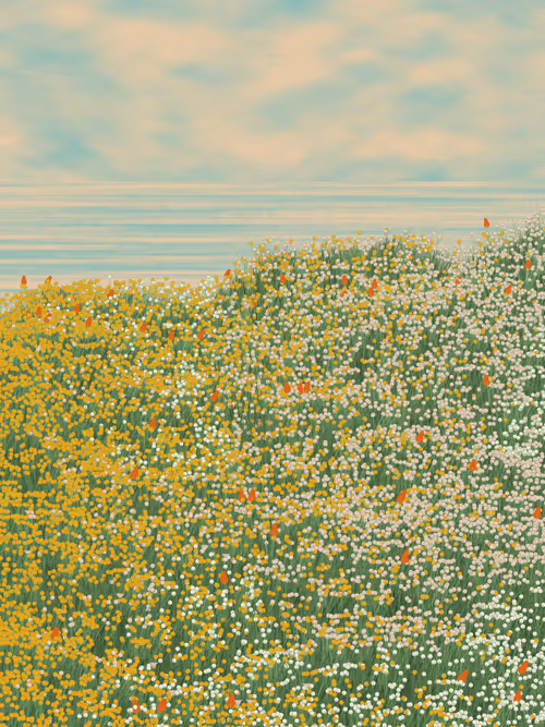 Item #252847730990432231993769525594770180945167036 Media