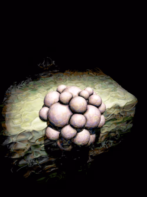 Item #4045563695846915711900312409516322895111670643 Media