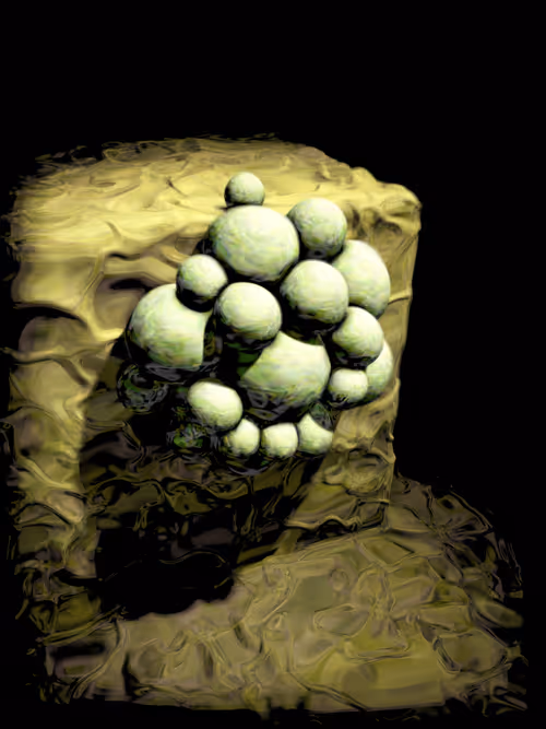 Item #4045563695846915711900312409516322895111670657 Media