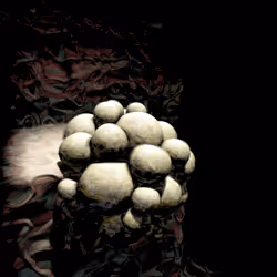 4045563695846915711900312409516322895111670647