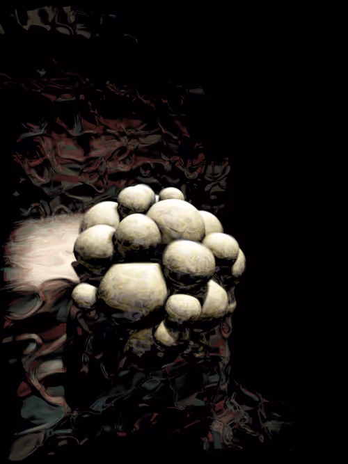 Item #4045563695846915711900312409516322895111670647 Media