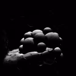 4045563695846915711900312409516322895111670632