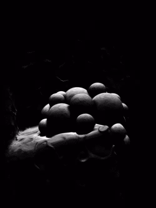 Item #4045563695846915711900312409516322895111670632 Media