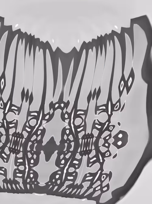 Item #4045563695846915711900312409516322895112670623 Media