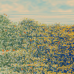 Superbloom #18