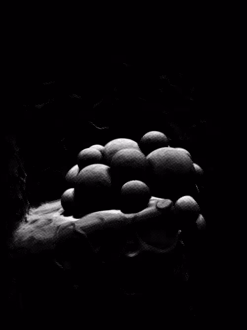 Item #4045563695846915711900312409516322895111670632 Media