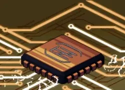 S1 Champion Chip