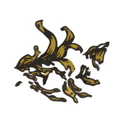 Seaweed