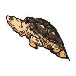 Terrapin