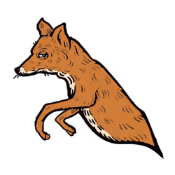 Fox