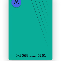 Mint Method NFT
