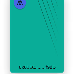 Mint Method NFT