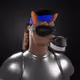9666