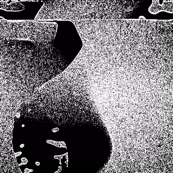 Noise #1011 
