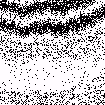 Noise #992 