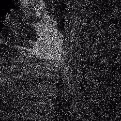 Noise #802 