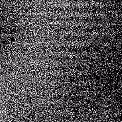 Noise #83 