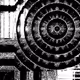 131