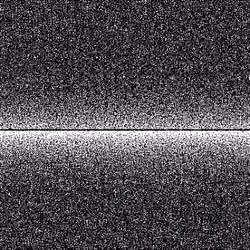Noise #202 