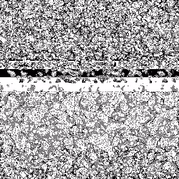 Noise #6 