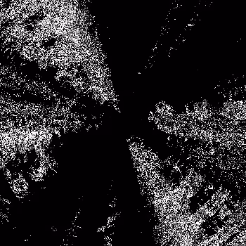 Noise #988 