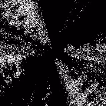 Noise #988 