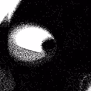 Noise #709 