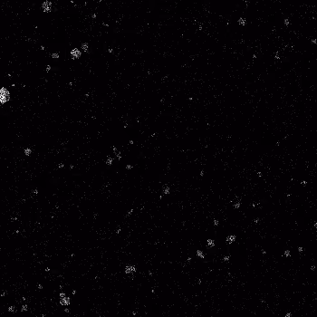 Noise #982 