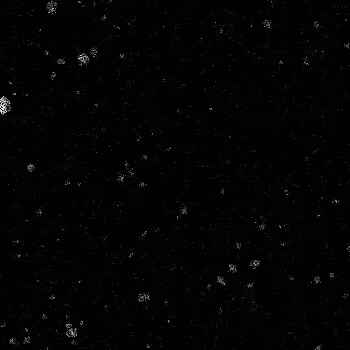 Noise #982 