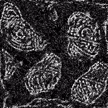 Noise #417 