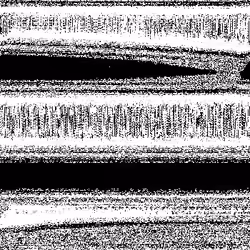 Noise #312 