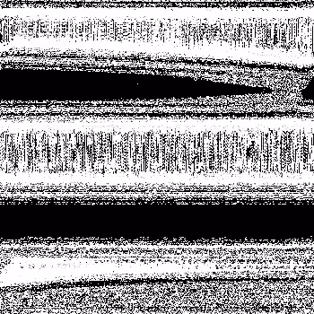 Noise #312 