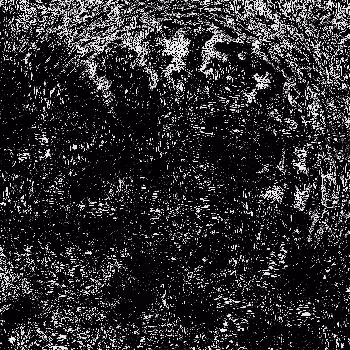 Noise #146 