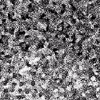 Noise #593 
