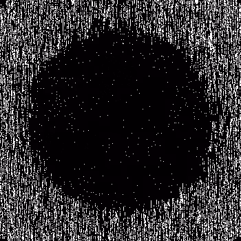 Noise #1017 
