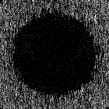 Noise #1017 