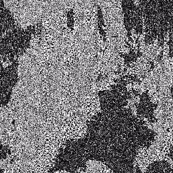 Noise #1023 