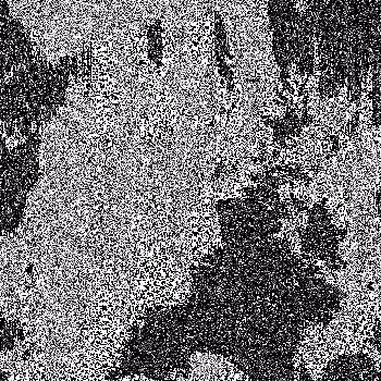 Noise #1023 