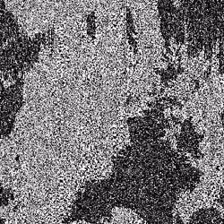 Noise #1023 