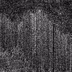 Noise #762 