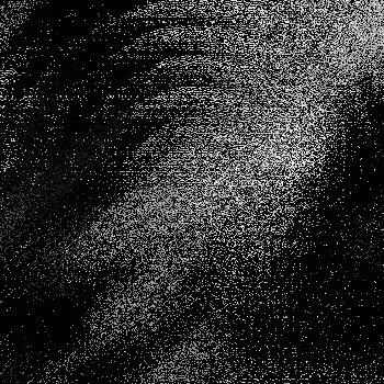 Noise #1004 