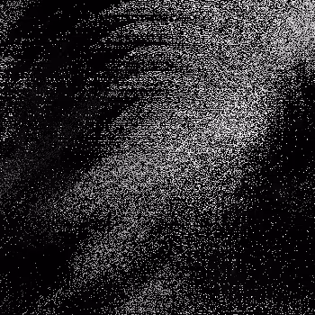Noise #1004 