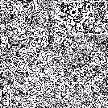 Noise #317 