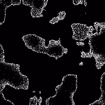 Noise #995 
