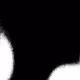 629