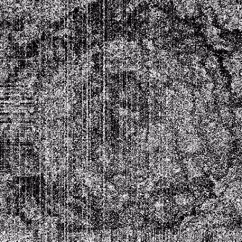 Noise #755 