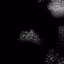 Noise #134 