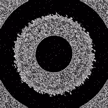 Noise #613 