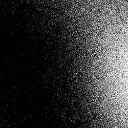 Noise #440 