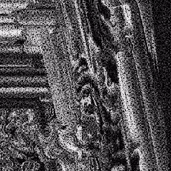 Noise #1005 